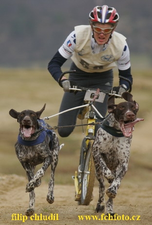 Bakonybel - 0199.JPG